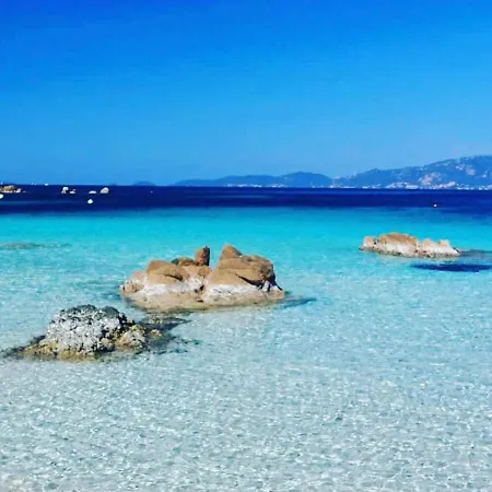 Le Marie Louise - Oliveraie - Ile Rousse 公寓
